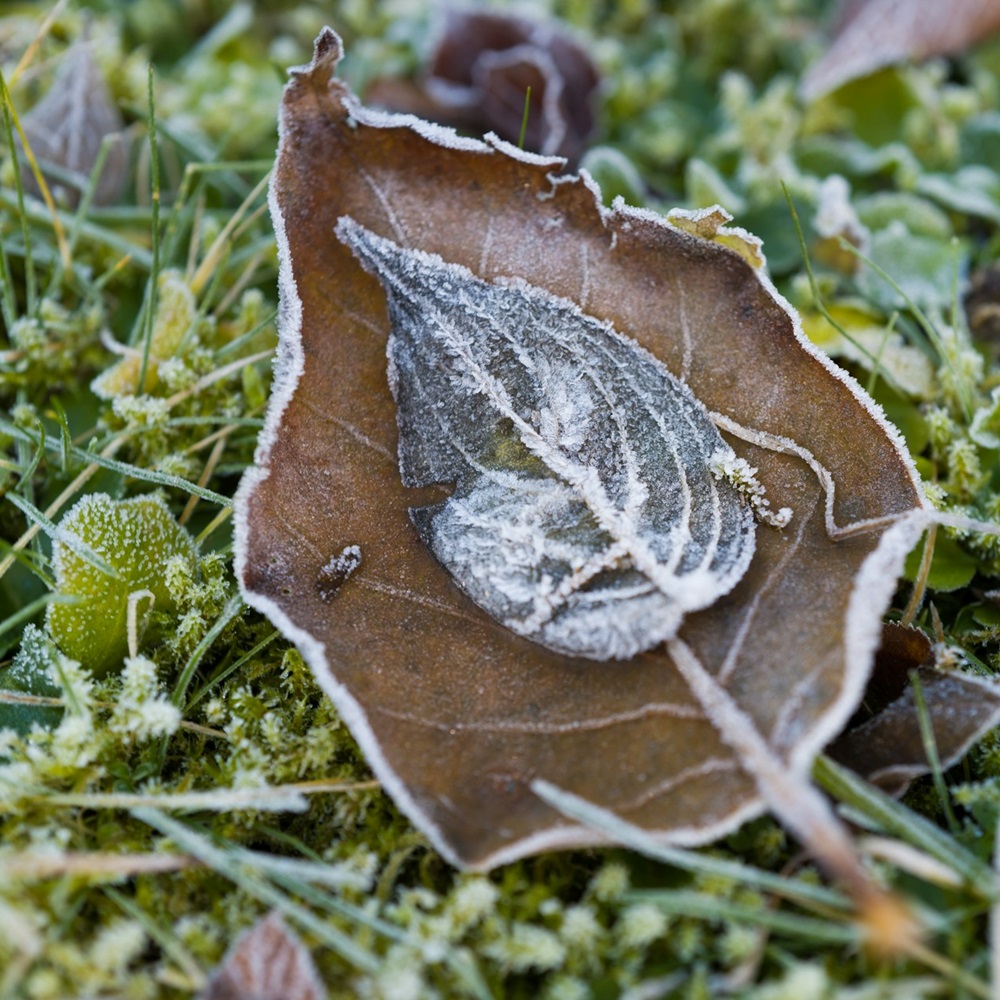 garten-winterfest-machen