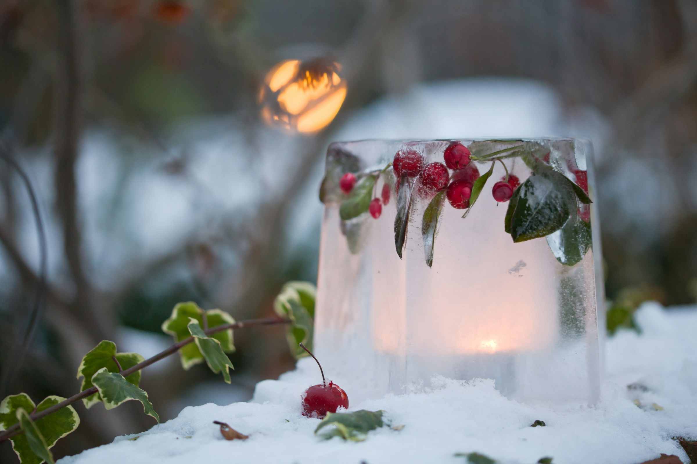 den-garten-fit-für-den-winter-machen