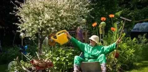 Wasserleitung im Garten verlegen