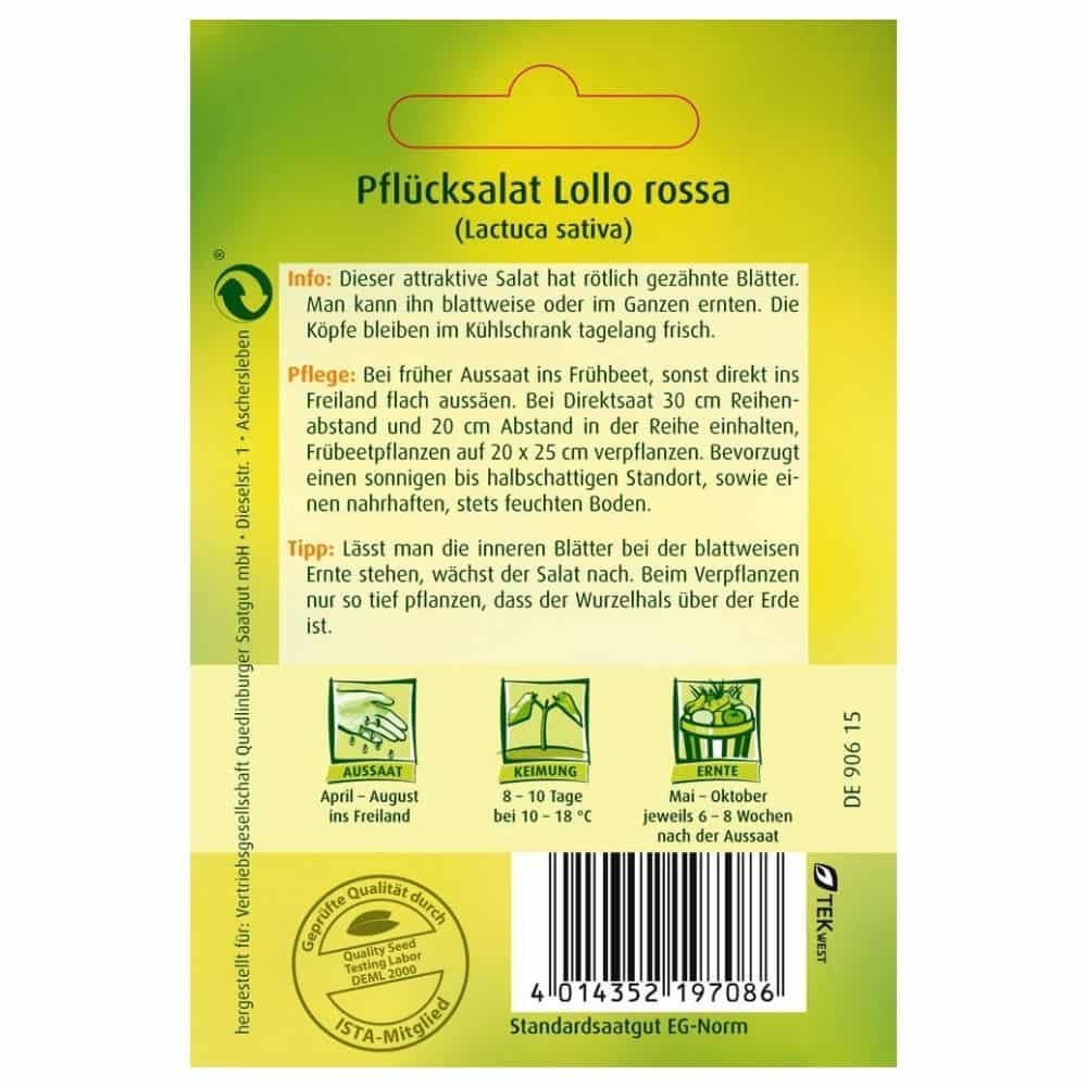 Pflücksalat, Lollo rossa