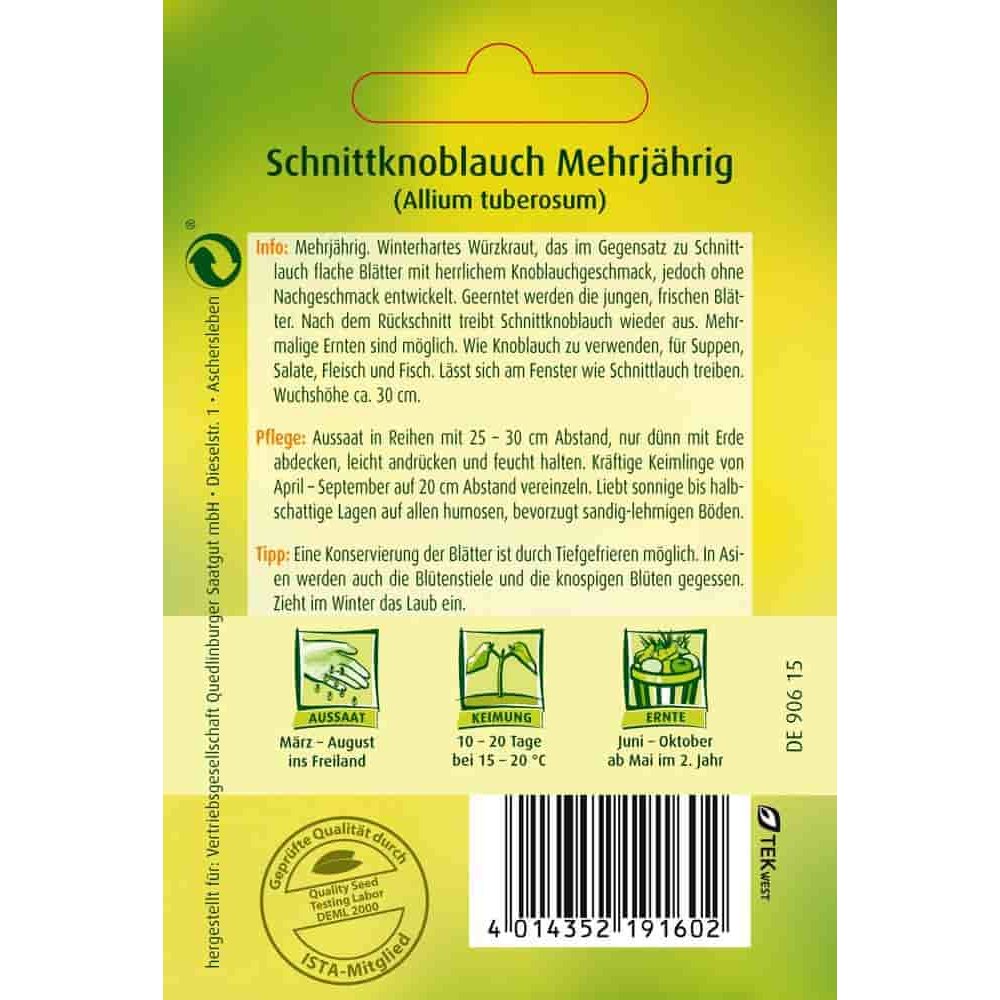 Schnittknoblauch, mehrjährig