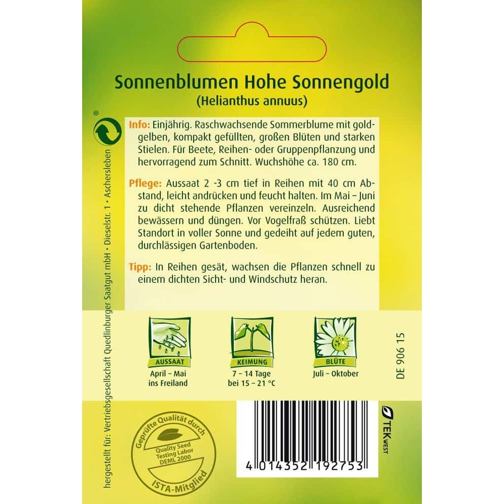 Sonnenblume, Hohe Sonnengold