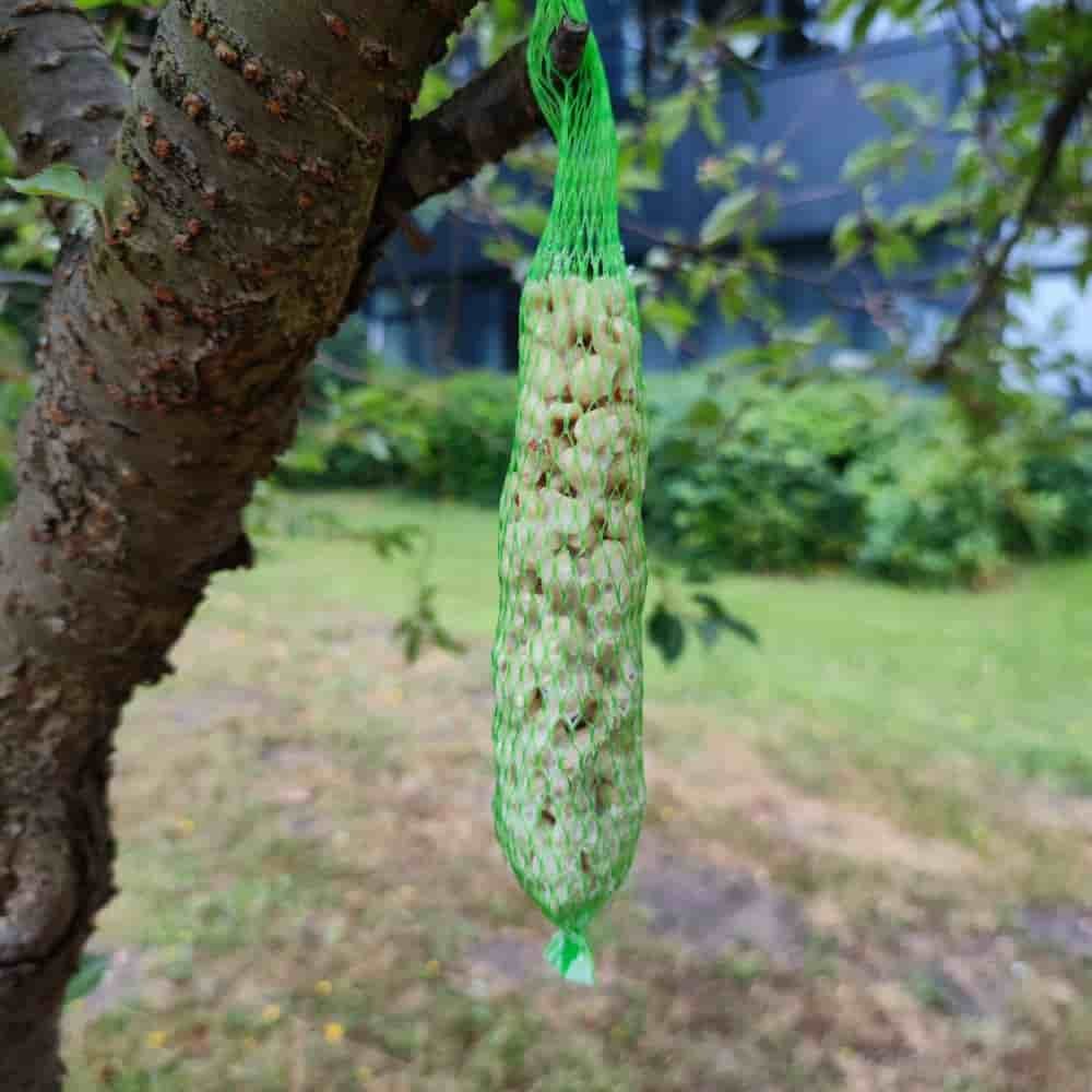 Wildvogelfutter Erdnuss-Stangen, 2 Stück