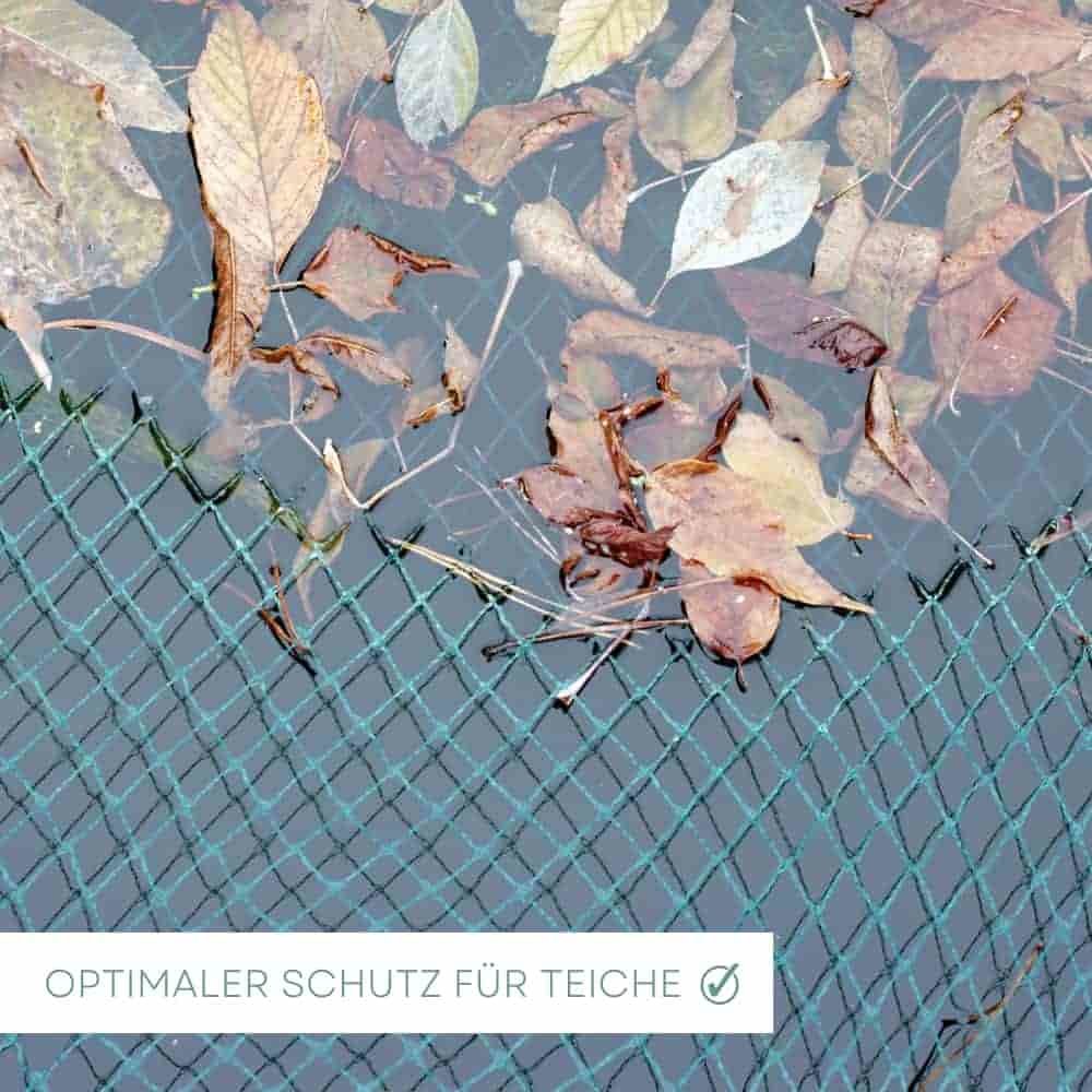 Teichschutznetz 2 m x 3 m (6m²)