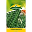 Schnittknoblauch, mehrjährig