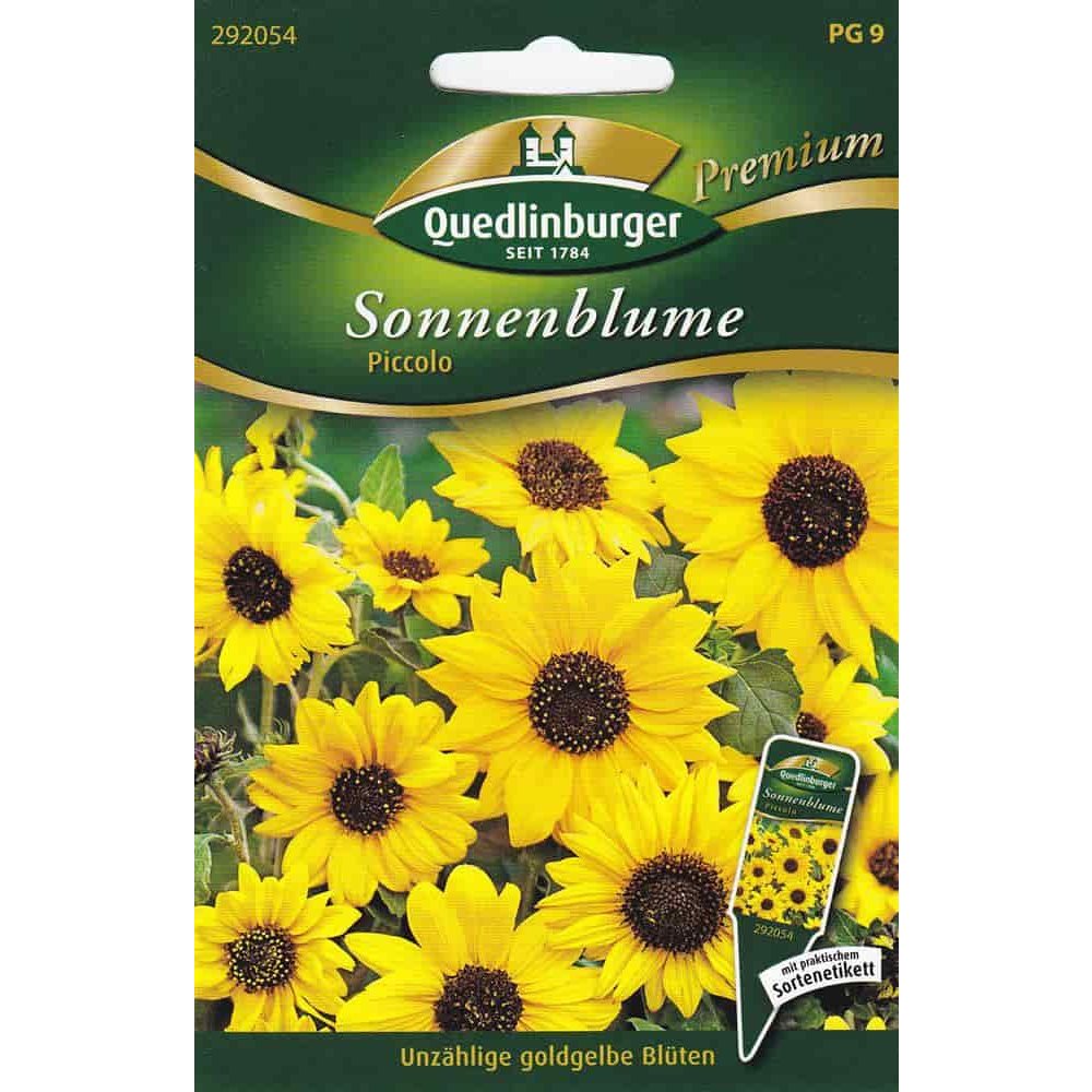 Sonnenblumen, Piccolo