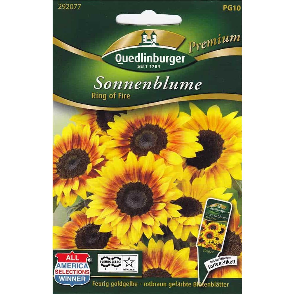 Sonnenblumen, Ring of fire