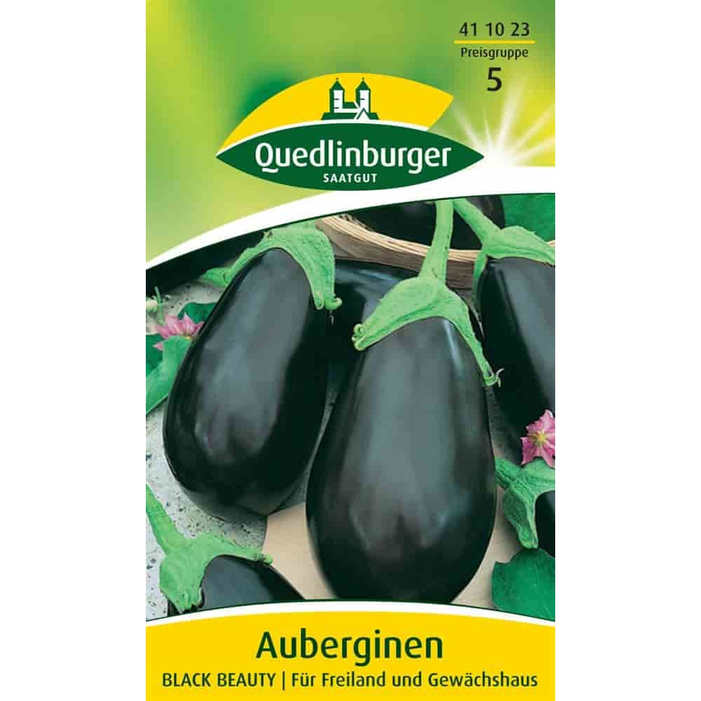 Aubergine, Black Beauty