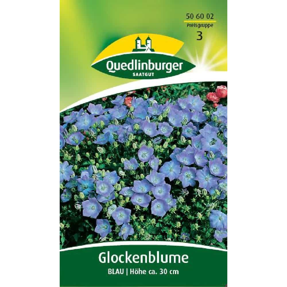 Glockenblume, Blau