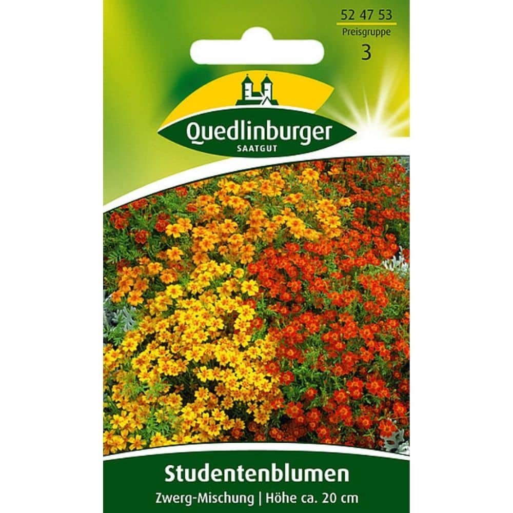 Studentenblume, Zwerg-Mischung