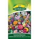 Sommerblumen, Schmücke Garten und Heim