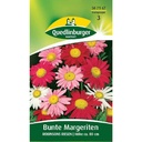 Bunte Margerite, Robinsons Riesen