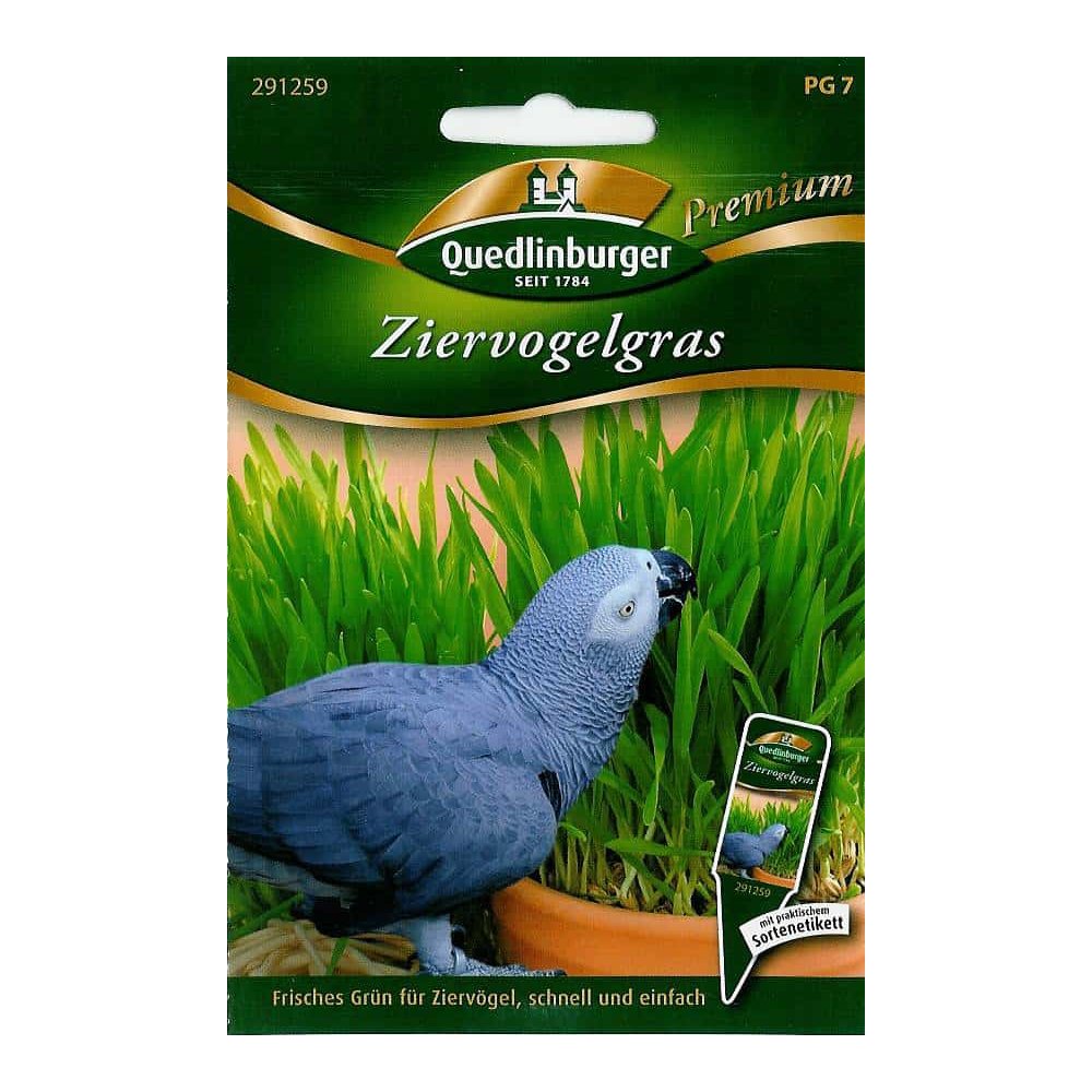 Ziervogelgras