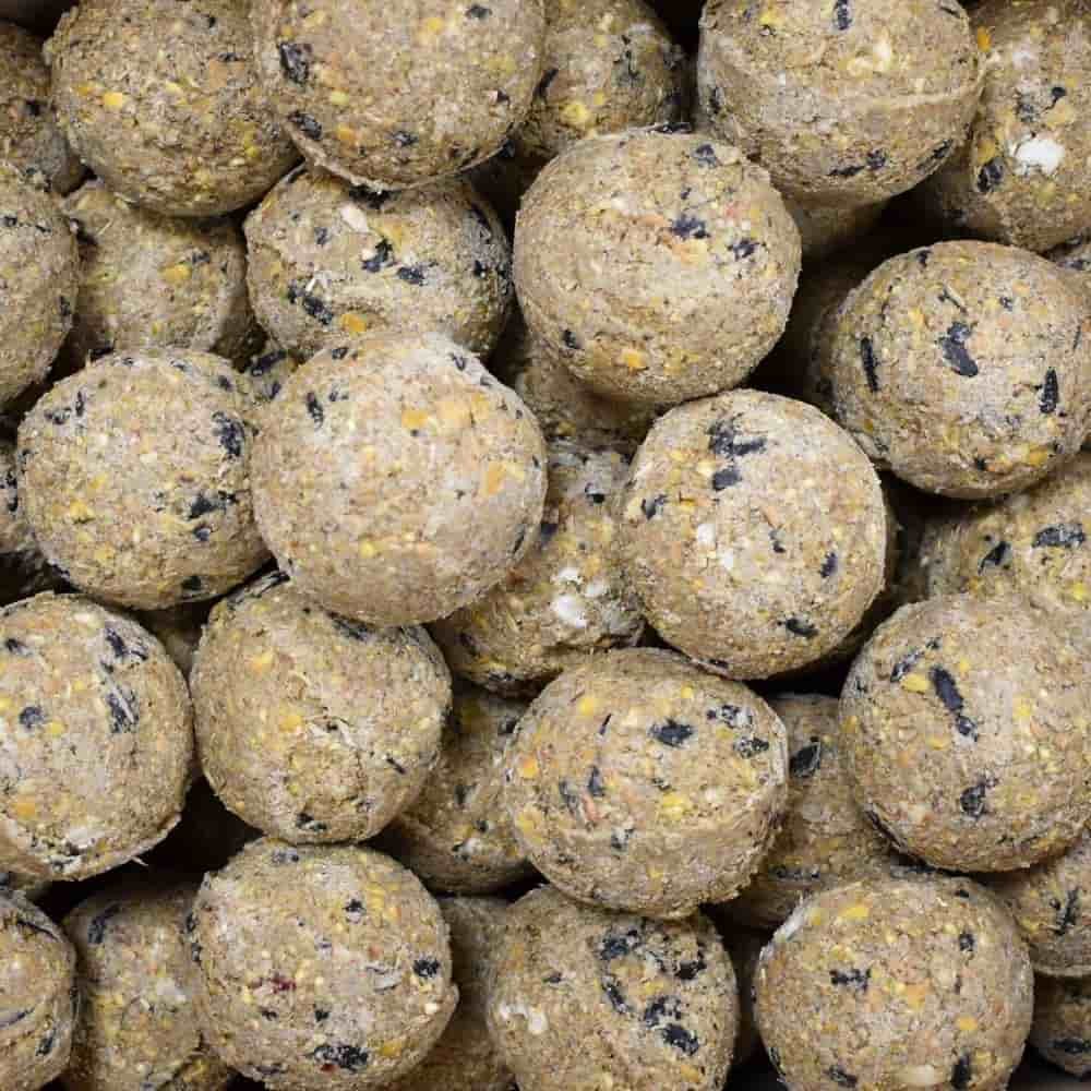 Meisenknödel Premium mit Insekten 100 x ca.90 Gramm ohne Netz