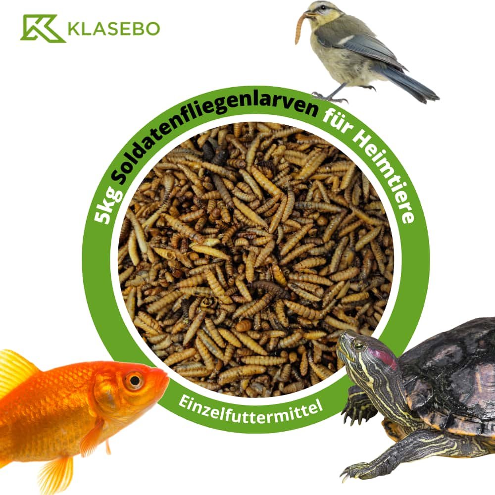 Soldatenfliegenlarven 5kg, ganze getrocknete Hermetia illucens