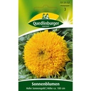 Sonnenblume, Hohe Sonnengold