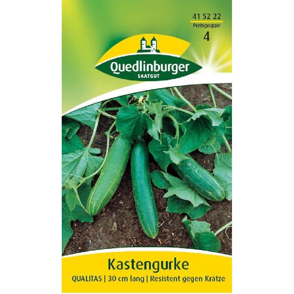 Kastengurke, Qualitas