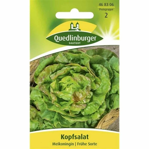 [BONI-468306] Kopfsalat, Maikönig