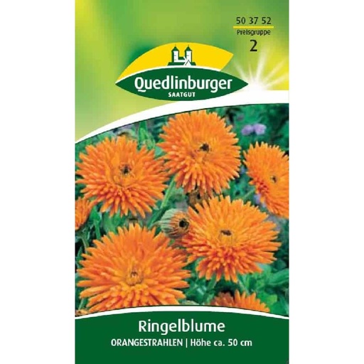 [BONI-503752] Ringelblume, Orangestrahlen