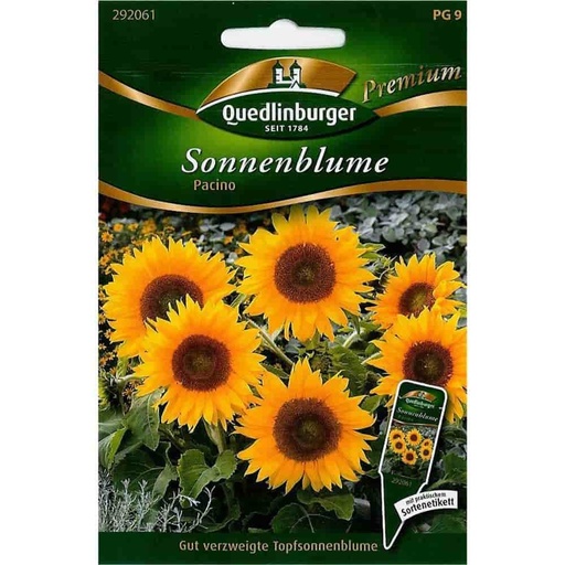 [BONI-292061] Sonnenblumen, Pacino